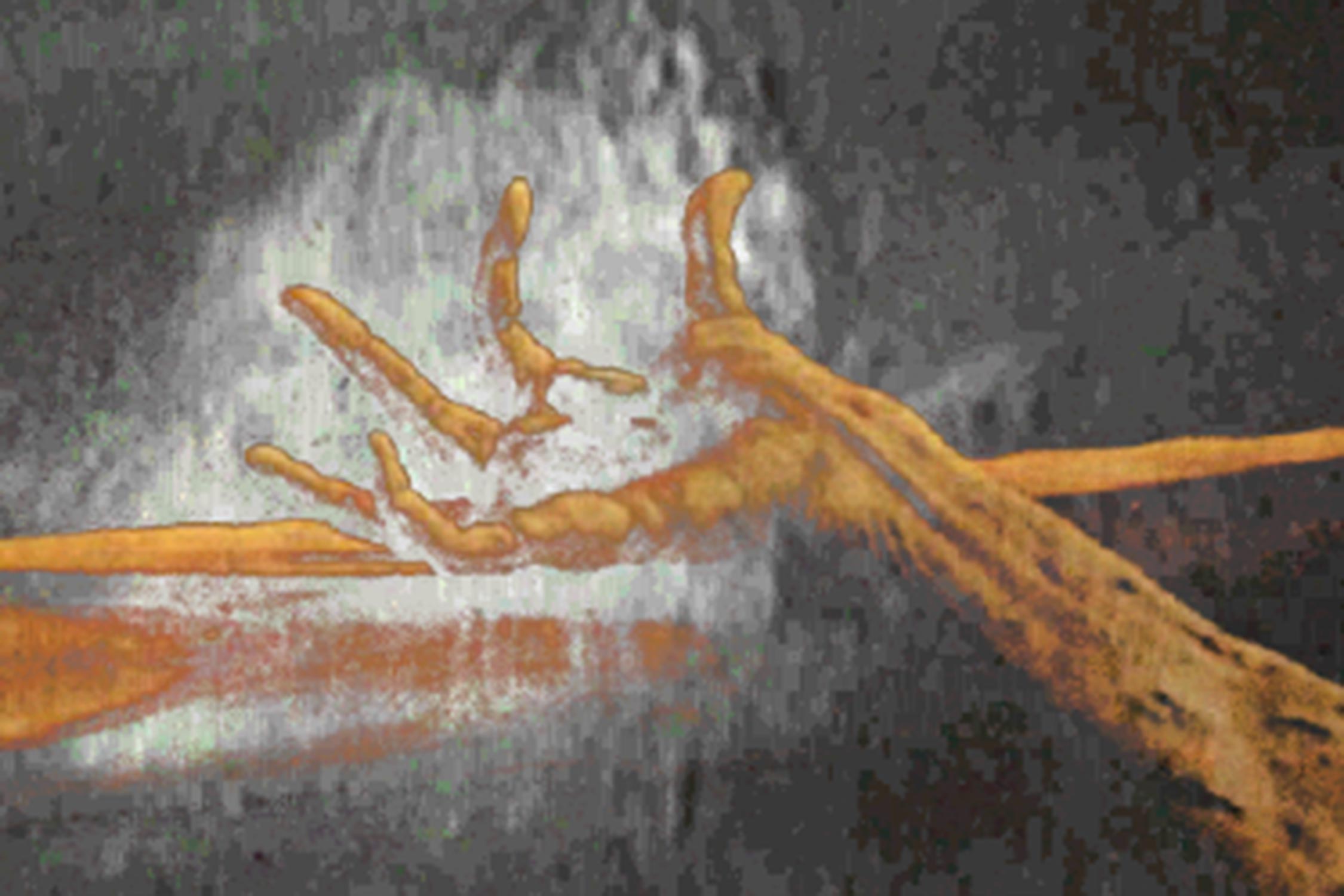 Unbenannte Aufnahme0653